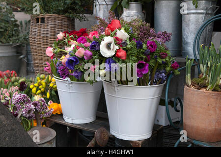 Bouquet di tulipani rosa, viola uva giacinti, blu e rosso anemoni viola veronica e ranuncolo bianco Foto Stock