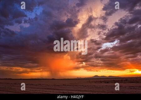 Arizona deserto tramonto dietro una tempesta monsonica Foto Stock