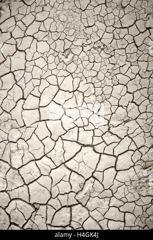 In prossimità di un campo colpiti dalla siccità nel nord-ovest del Texas. Foto Stock