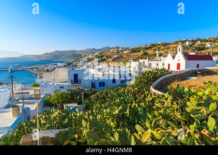 Cactus piante sul campo e tipico greco bianco edificio della chiesa nella città di Mykonos, a Mykonos, Grecia Foto Stock