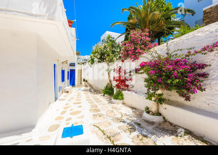 Una vista della strada dipinte di bianco con fiori nella bella città di Mykonos, Cicladi, Grecia Foto Stock