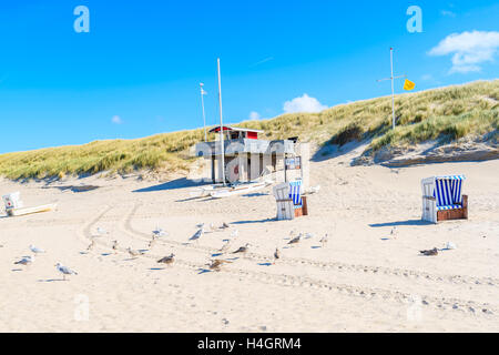 Isola di Sylt, Germania - Sep 11, 2016: seagull uccelli e bagnino torre sulla sabbiosa spiaggia di Kampen, isola di Sylt, Germania. Foto Stock