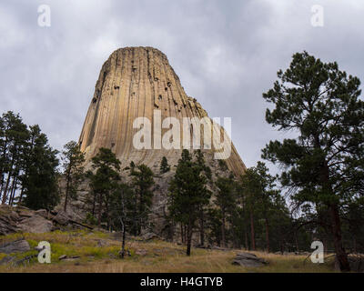 Devil's Tower dal rosso sentiero Letti, Devil's Tower monumento nazionale, Wyoming. Foto Stock