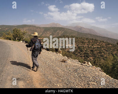 Coltivatore di capra di pastorizia lungo il sentiero in montagne Atlas nei pressi di Ourika Valley Foto Stock