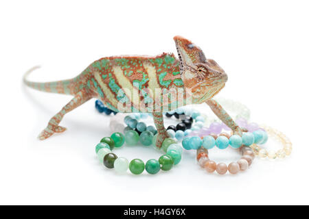 Bellissima chameleon con pietra naturale bracciali Foto Stock