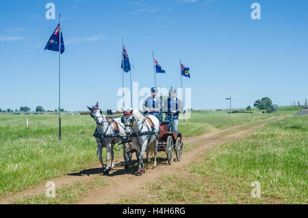 Il cavallo di prove di guida Club (Australia) Evento maratona Foto Stock