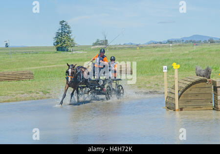 Entrata in acqua pericolo egli atT cavallo prove di guida Club (Australia) Evento maratona Foto Stock
