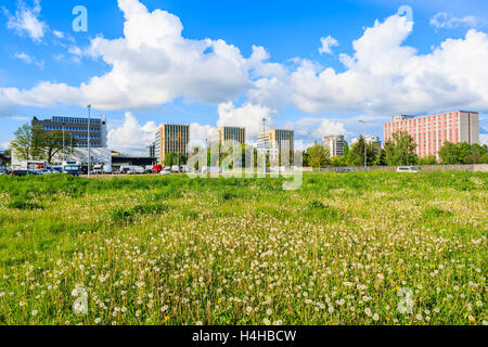 Cracovia in Polonia - 8 Maggio 2016: moderni edifici per uffici nella città di Cracovia e prato con fiori di primavera in primo piano. Cracovia gode Foto Stock