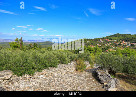 Dol, Stari Grad Plain, Brac e distante monte Biokovo gamma, Isola di Hvar, Croazia, Dalmazia, costa dalmata, l'Europa. Foto Stock