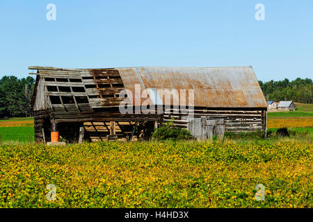 Il vecchio fienile Valle di Ottawa Ontario Canada Foto Stock