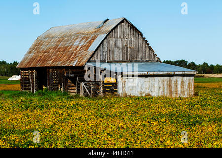 Il vecchio fienile Valle di Ottawa Ontario Canada Foto Stock