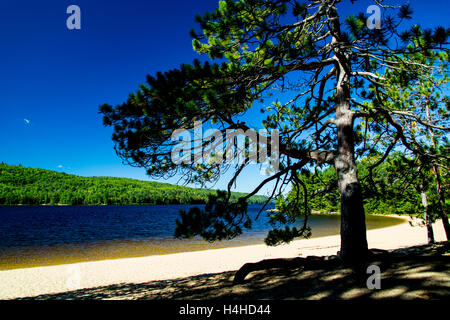 Concedere il lago sul lato orientale di Algonquin Provincial Park Pembroke Ontario Canada Foto Stock