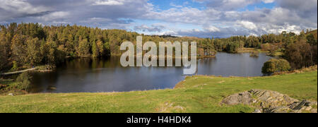 Tarn Hows vicino a Coniston. Foto Stock