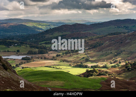 Guardando verso il basso sui piedi cadde Farm e poco Langdale dal Wrynose pass. Foto Stock