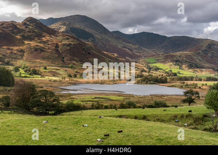 Guardando verso il basso sui piedi cadde Farm e poco Langdale tarn dal Wrynose pass. Foto Stock