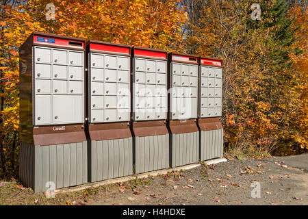 Rural Canada Post di cassette postali nel Laurentides, QC, Canada, in autunno Foto Stock