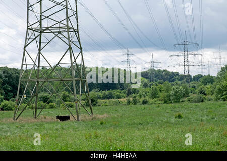 Di energia elettrica ad alta tensione, tralicci Leichlingen, Renania settentrionale-Vestfalia (Germania). Foto Stock