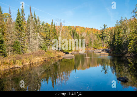 Colori dell'autunno in Quebec, Canada (Doncaster Park) Foto Stock