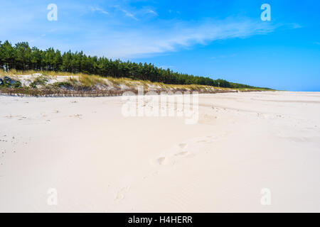 Sabbia bianca sulla spiaggia al Mar Baltico, Bialogora villaggio costiero, Polonia Foto Stock