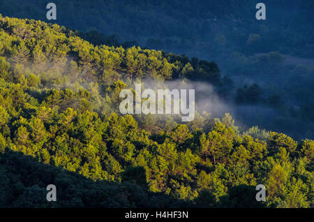 COLLINES DE LA STE BAUME, VAR FRANCIA 83 Foto Stock