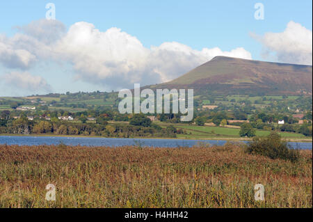 Lago Llangorse, Llyn Syfaddon o Syfaddan, il più grande lago naturale in Galles. Vicino a Llangors nel Parco Nazionale di Brecon Beacons. Foto Stock