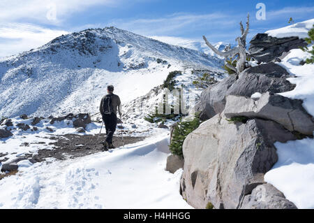 Il Parco Nazionale del Monte Rainier, Washington: Uomo escursioni lungo la cresta di pasta acida Trail. La distanza è Burroughs Montagna. Foto Stock