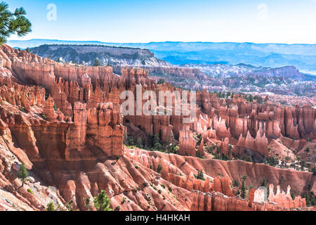 Parco Nazionale di Bryce Canyon, Utah Foto Stock