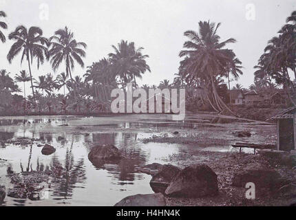 Java, Indonesia Tjipanas in Garut, con più alberi e capanne, anonimo, 1900 - 1920 Foto Stock