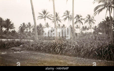 Java Tjipanas in Garut, Indonesia, Anonimo Foto Stock