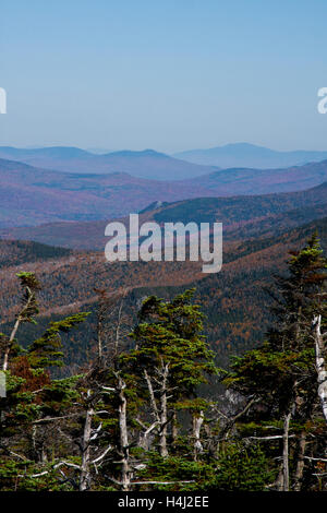 New Hampshire; autunno; autunno; Franconia Notch; montagne; foglie; colore; montagne bianche, Foto Stock