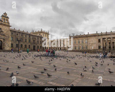 Bogotà, Colombia - 30 Aprile 2016: i piccioni viaggiatori e turisti sulla Piazza Bolivar di Bogotà Foto Stock