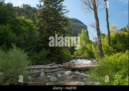 Grizzly Creek scorre verso il basso fuori delle Rockies alla Interstate 70 zona di riposo dello stesso nome, in Colorado di Glenwood Canyon Foto Stock