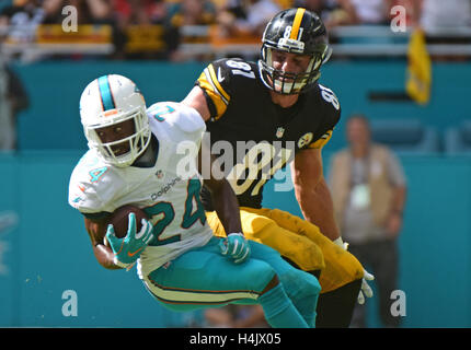 Giardini di Miami, FL, Stati Uniti d'America. Xvi oct, 2016. I Delfini di Miami di sicurezza forte Isa Abdul-Quddus (24) intercetta un passaggio destinato a Pittsburgh Steelers stretto fine Jesse James (81). Miami Dolphins vs. Pittsburgh Steelers. Hard Rock Stadium, Giardini di Miami, FL. 10/16/16. Fotografo personale di Jim Rassol Credito: Sun-Sentinel/ZUMA filo/Alamy Live News Foto Stock