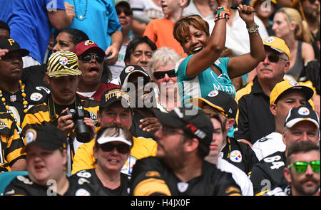 Giardini di Miami, FL, Stati Uniti d'America. Xvi oct, 2016. Questa ventola di delfini divertiti seduti in un mare di Steelers fan. Miami Dolphins vs. Pittsburgh Steelers. Hard Rock Stadium, Giardini di Miami, FL. 10/16/16. Fotografo personale di Jim Rassol Credito: Sun-Sentinel/ZUMA filo/Alamy Live News Foto Stock