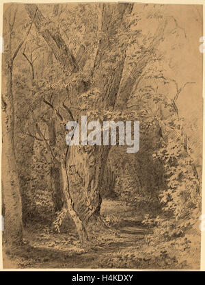 Walter Shirlaw, albero e fogliame, americano, 1838 - 1909, probabilmente c. 1873, Grafite su carta intessuta Foto Stock