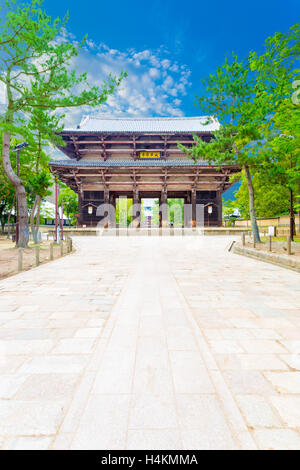 Largo sentiero che conduce al grande cancello sud, nandaimon, con nessuno presente al Tempio di Todai-ji tempio complesso su una bella e soleggiata, blu Foto Stock