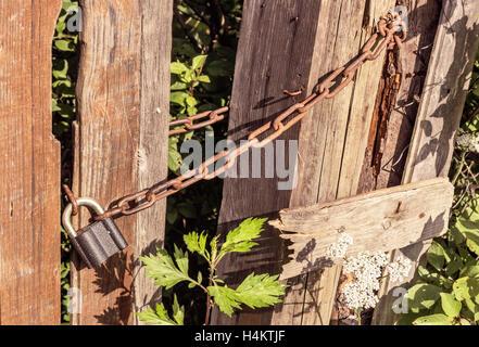 Bloccare e rusty catena sul vecchio cancello in legno Foto Stock