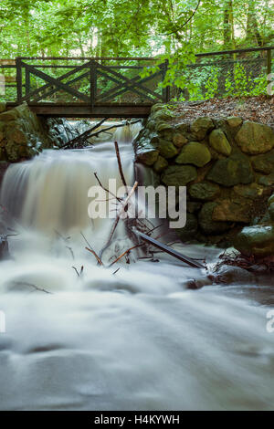 Immagine di piccoli Creek Waterfall. Helsingborg, Svezia. Foto Stock