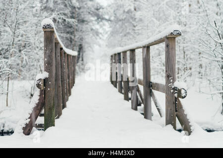 Ponte di legno coperto di neve nella foresta wintery Foto Stock