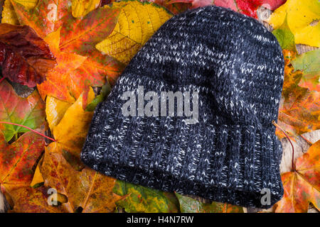 Autunno Autunno beanie cap hat freddo maltempo lascia Foto Stock