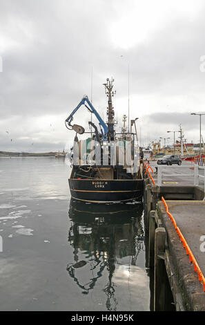 La pesca a strascico al Porto di Killybegs Co Donegal Irlanda Foto Stock