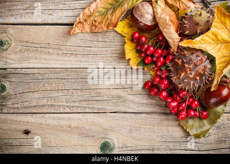 Confine fatto di foglie di autunno, bacche di biancospino e castagna Foto Stock