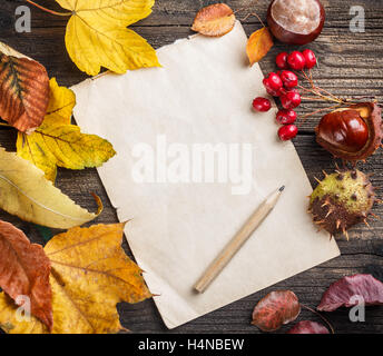 Foglie di autunno sul vecchio foglio di carta Foto Stock