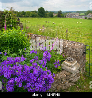 Un grazioso giardino di fiori angolo di confine con la campagna aperta al di là Foto Stock