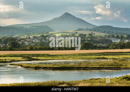 Vista del paesaggio di Oriente Wicklow in Irlanda con le zone umide di Kilcoole in primo piano e la montagna di Sugarloaf dietro. Foto Stock