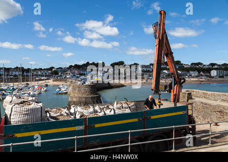 Saundersfoot Harbour Foto Stock