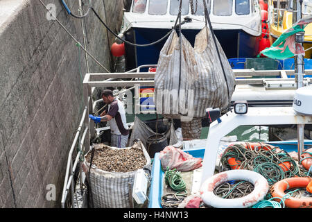 Saundersfoot Harbour Foto Stock