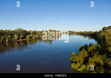 Altitudine molto bassa aerial del Fiume Murray, acceso al vicino a livello di inondazione. Wentworth, NSW, Australia Foto Stock