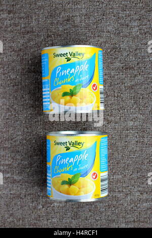 Dolce Conca di ananas in pezzi da Aldi Australia Foto Stock