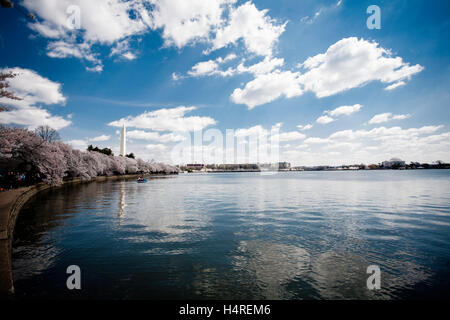 Il Monumento a Washington dietro di fiori ciliegio Foto Stock